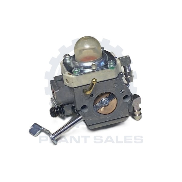 5200018691 Carburettor